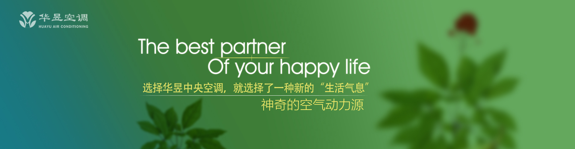 仰不愧天网